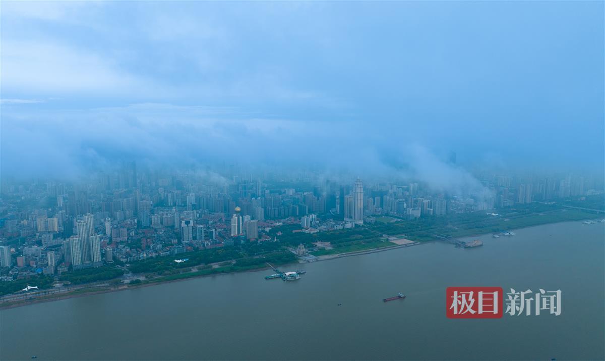 指尖捕鱼 鱼丸